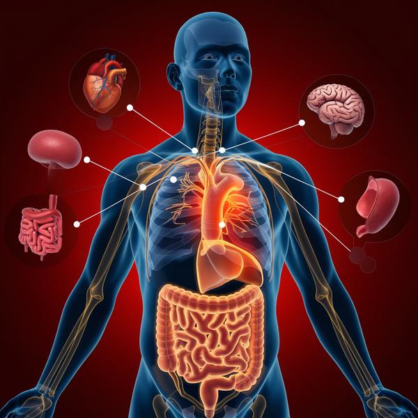Understanding Inflammation: The Hidden Factor Behind Many Chronic Illnesses